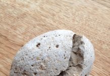 Een onvergetelijke reis: Deel IV