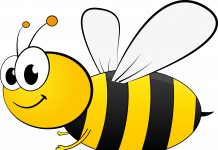 Picknick op vaderdag