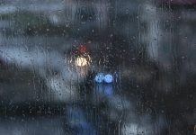 Mini-monster in de regen