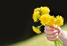 Prinses Varia is verliefd