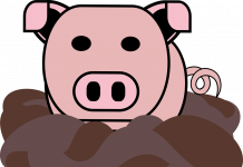 Een modderbad voor Biggetje Bee