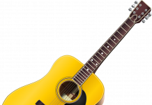 Lichtfeest in het Bolderbos