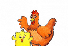 Een heel raar kuiken